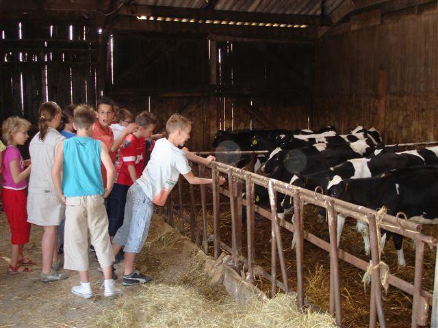 Boerderij 026.jpg